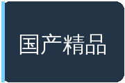 国产精品
